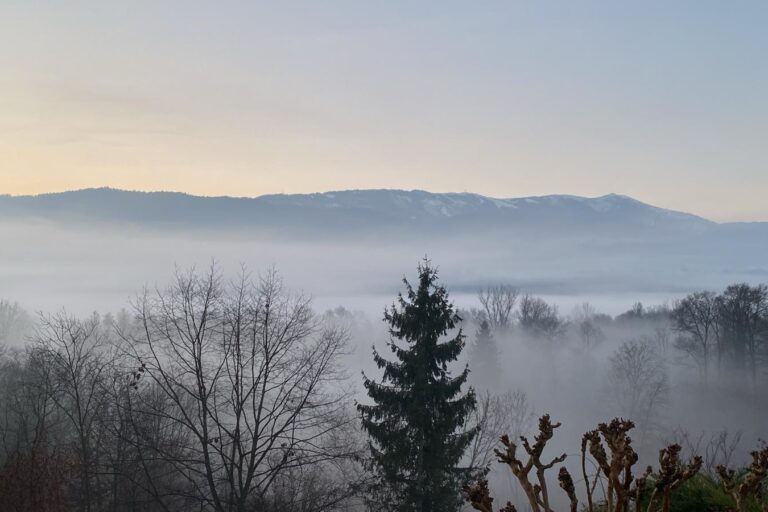 a88328a8-8192-4b96-8588-0543d4b3c8f5