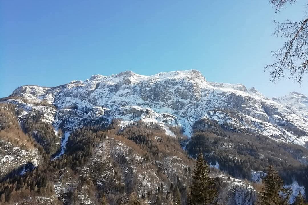 cac2f1fb-dba0-47a4-9bae-ec6c62c86d9e