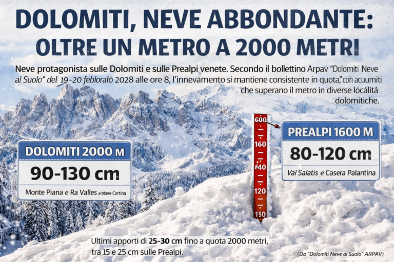 e8e7433b-247c-4c95-aa7e-72c5bec218cf