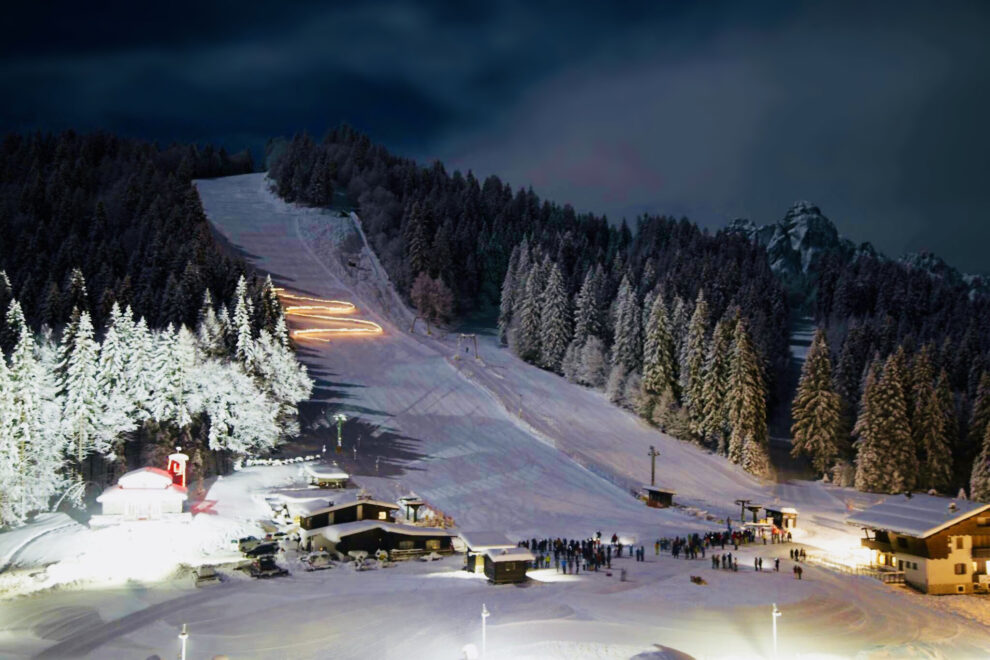 forcella aurine notturna