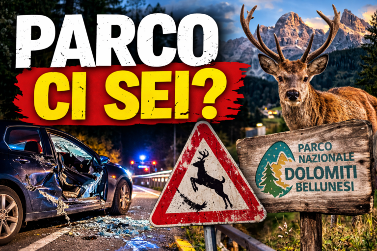 19cd6506-bc1b-4686-9414-7fcf1c751a77