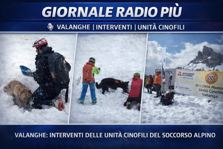 75fcf1b5-1869-4fde-99c7-7c449b504475