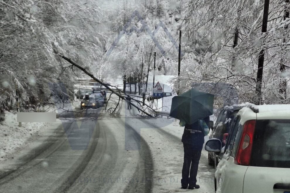 afd56783-049b-40f5-889a-e02a1390eb5a