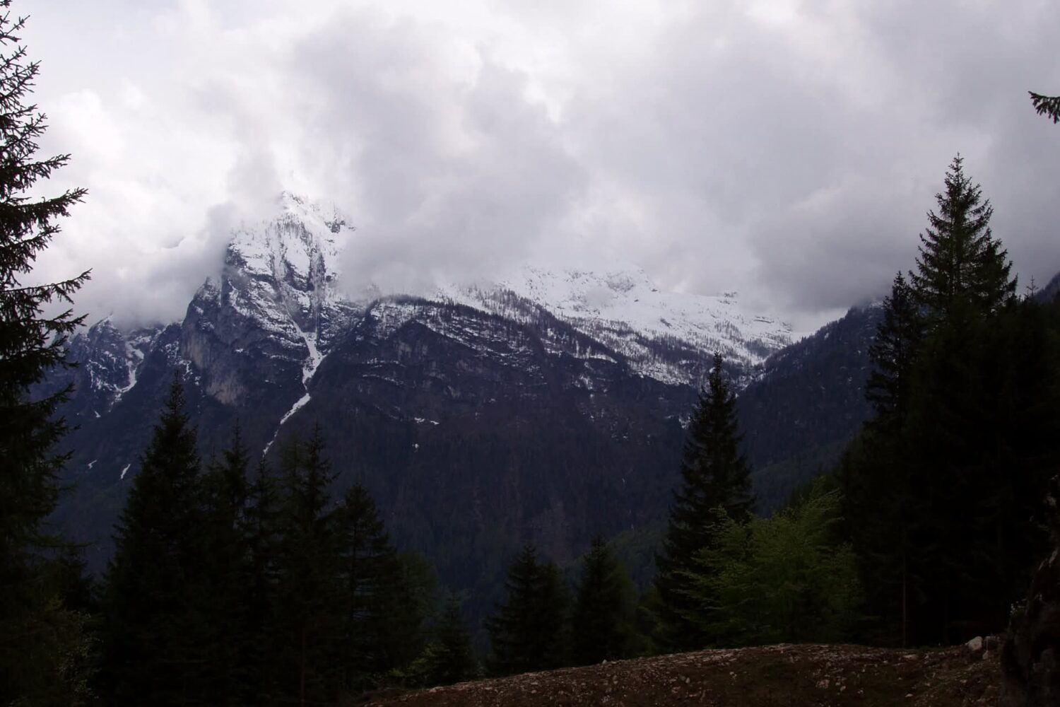 e337dadd-6154-432d-b965-11d43e5c2ddf