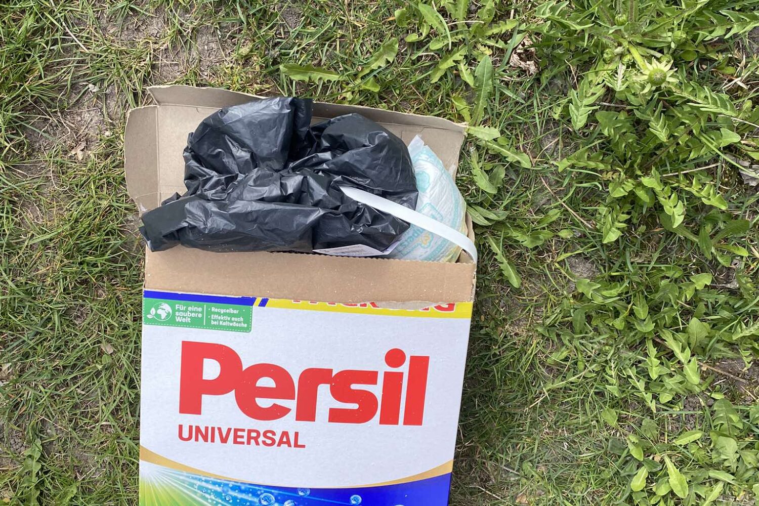 664002346_2825524801128326_5876132682467748174_n