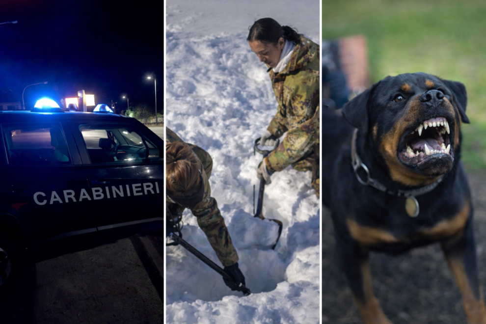 6a242724-8b28-449b-93ed-f0010a77a7d6