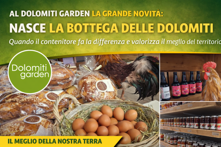 8084eac1-85f5-442b-a817-8104da064916