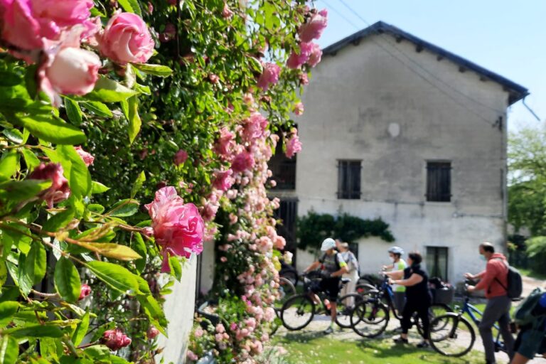 In bici al roseto di Seravella copia